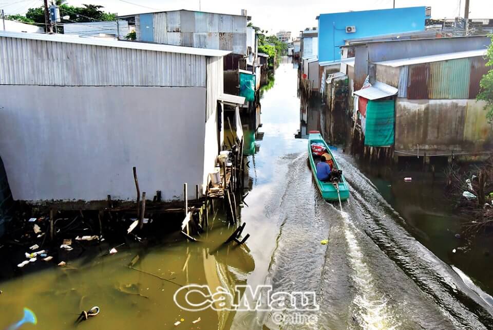 TP Cà Mau sẽ có camera giám sát về môi trường